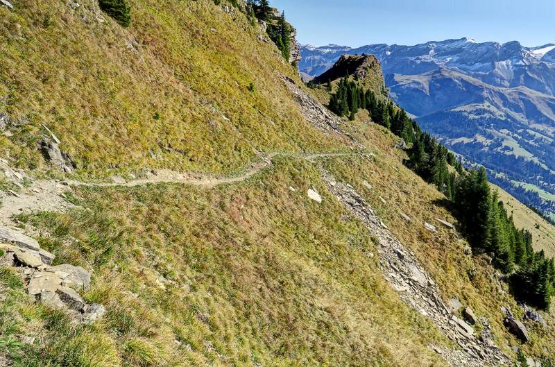 Der Wanderweg verläuft meistens in der Flanke