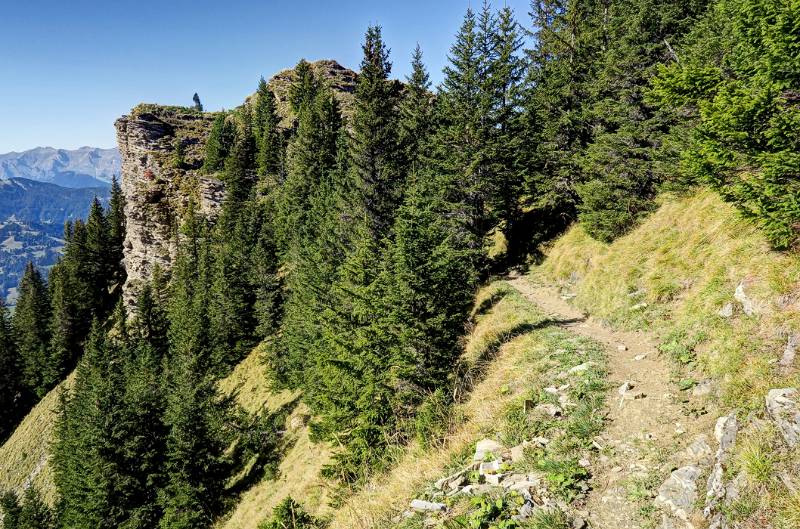 Gemütliche Abschnitte, auch durch Wald