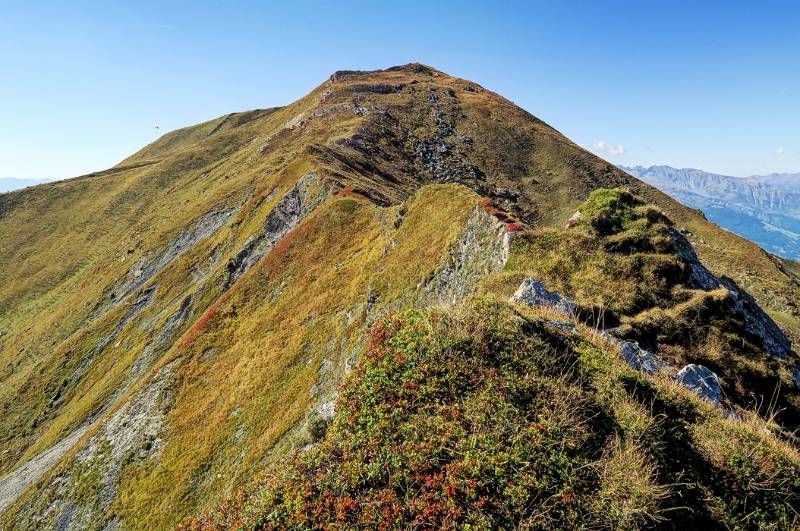 Abstieg über NO-Grat - Ochsenberg. Blick zurück zum Gipfel