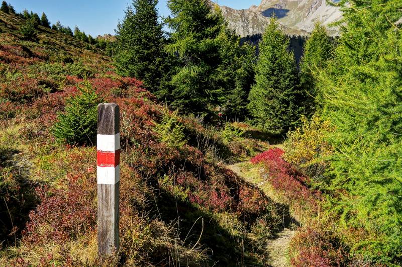 Nun geht es zurück zur Bergstation der Älplibahn