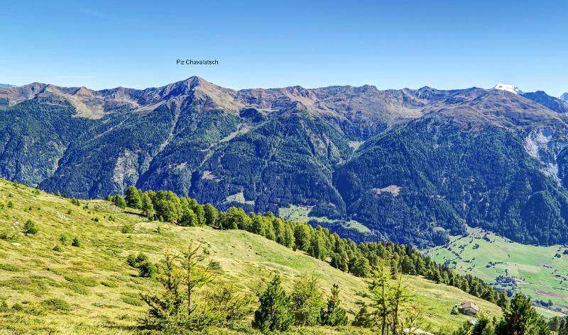 Piz Chavalatsch von Alp Terza aus gesehen