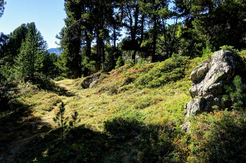 In der Südflanke von Piz Terza