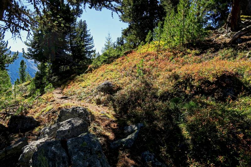 In der Südflanke von Piz Terza