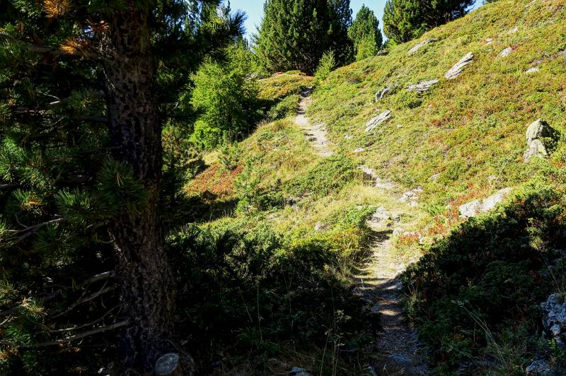 Schöner, warmer Wanderweg in der S-Flanke von Piz Terza