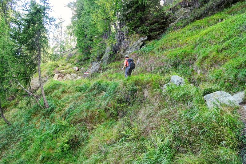 Der Wanderweg verläuft mehrheitlich im Wald und bietet viel Schatten am