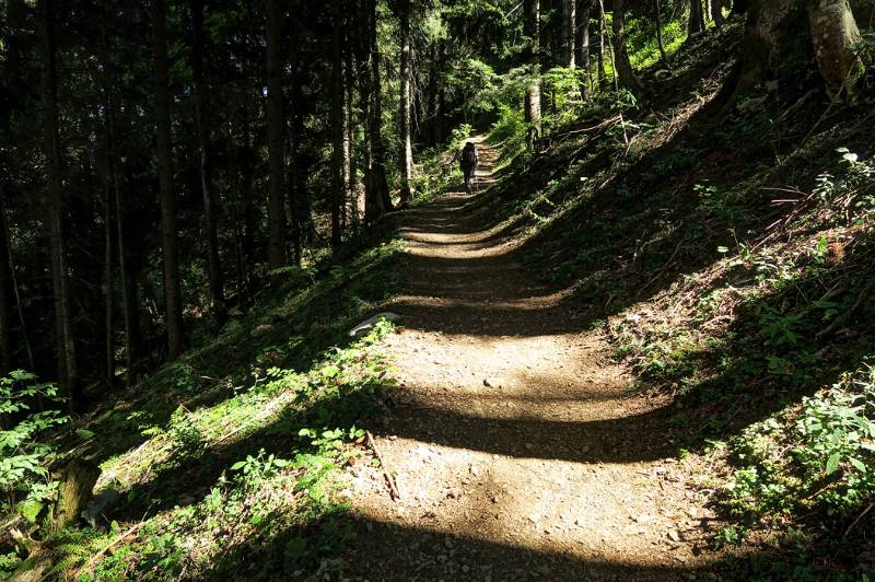 Auf dem bequemen Weg im Wald Richtung Pas d'Encel