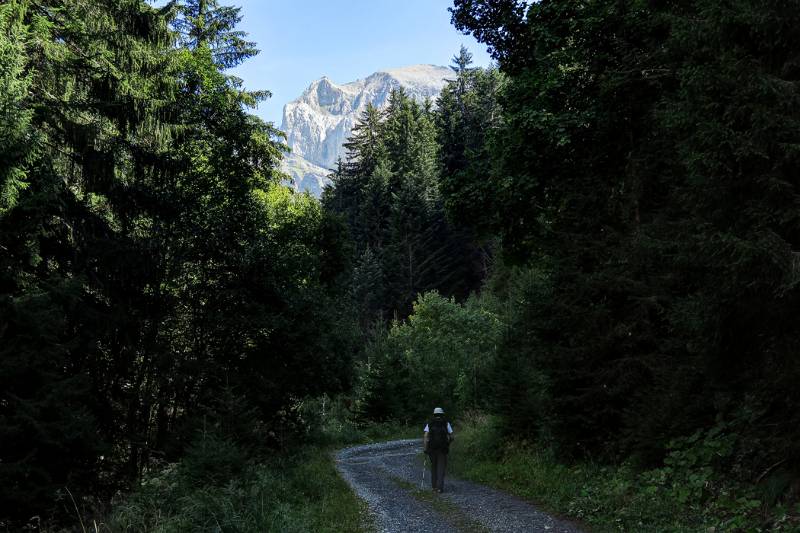Durch den Forêt de Bonavau