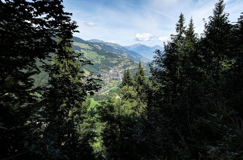 Champery durch Waldlichtung