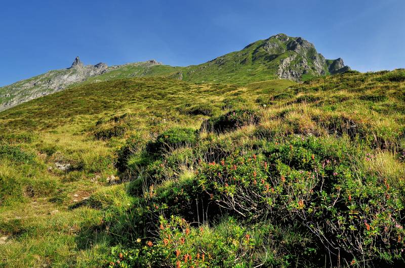 Blick auf den Grat zwischen Chli- und Grosse Spitzen