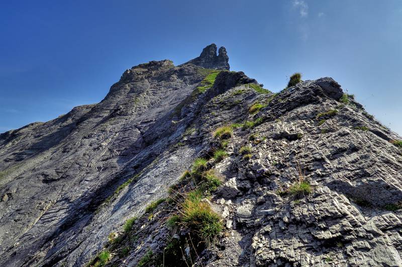 Blick zurück