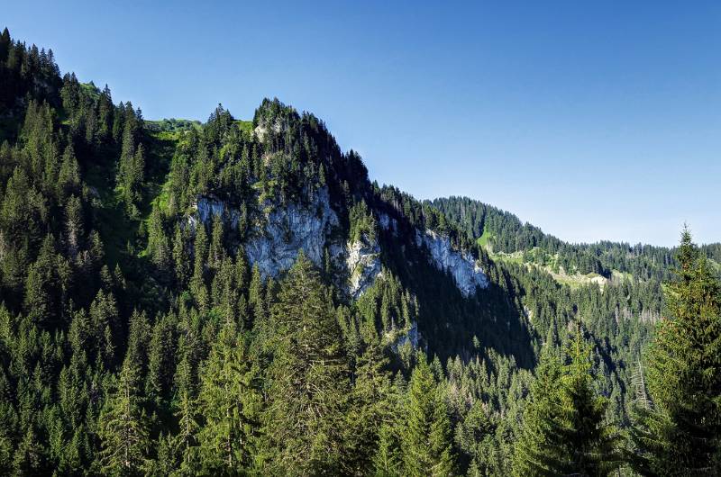 Blick zurück nach dem Ende der Waldzone