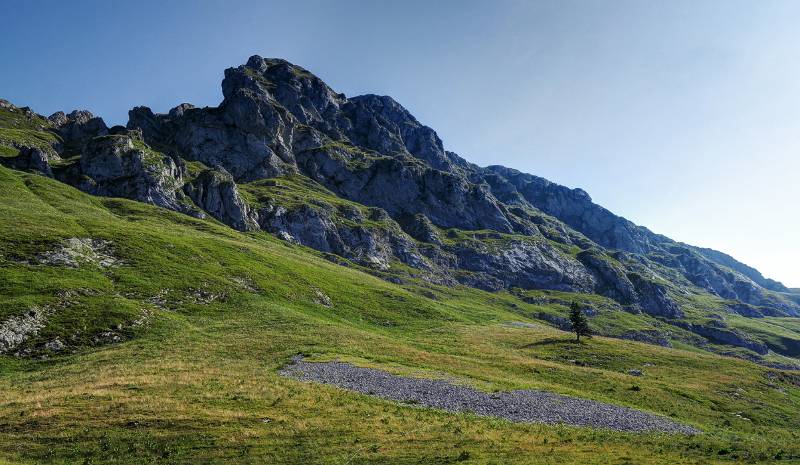 Dent D'Oche