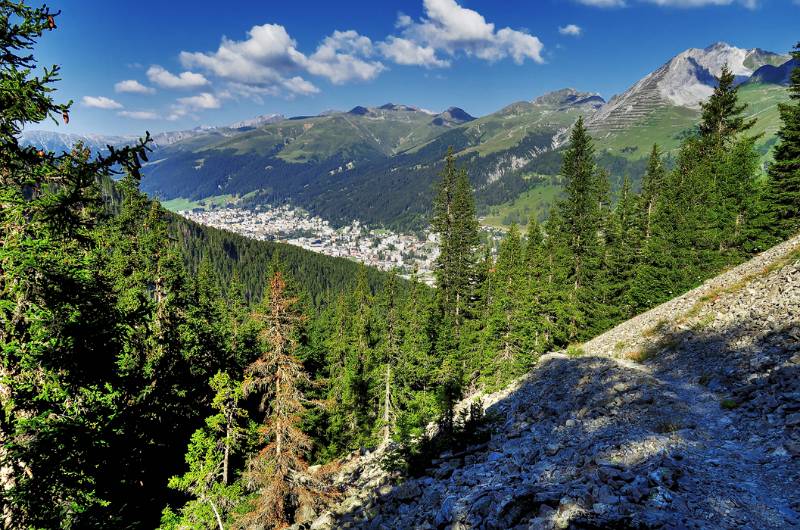 Blick zurück auf Davos nachdem Waldgrenze erreicht