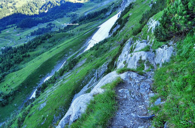 Blick von Ischpfad zurück zur Bushaltestelle "Abzweigung Gleckstein"