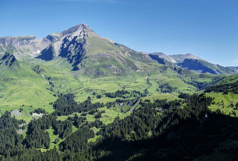 Schwarzhorn