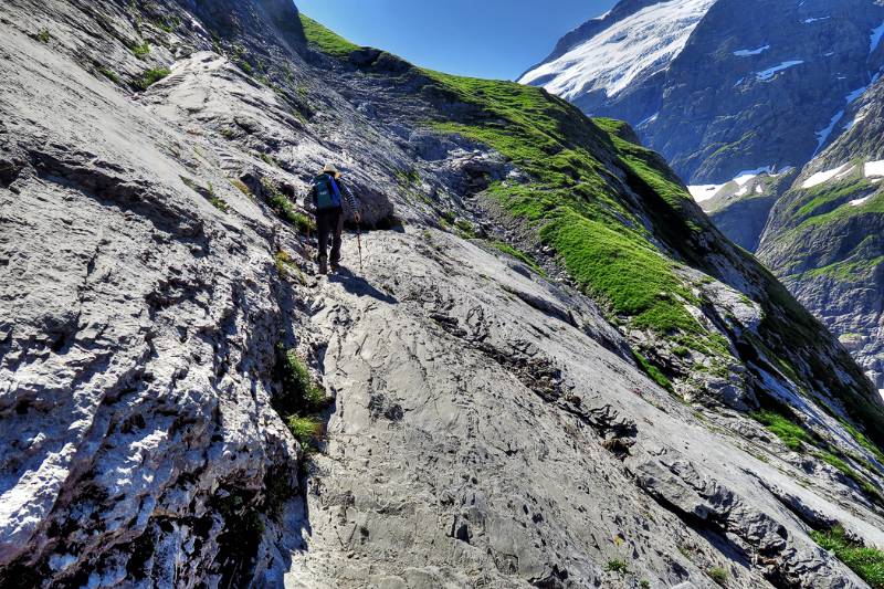 Über von Gletscher geschliffenen Felsplatten