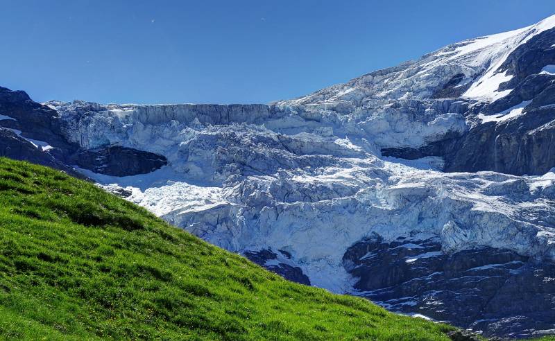 Oberer Grindelwaldgletscher