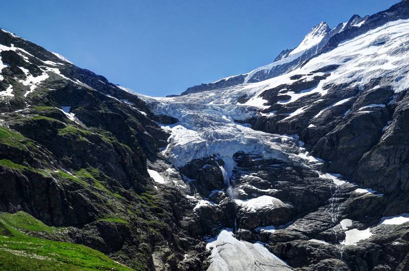 Oberer Grindelwaldgletscher