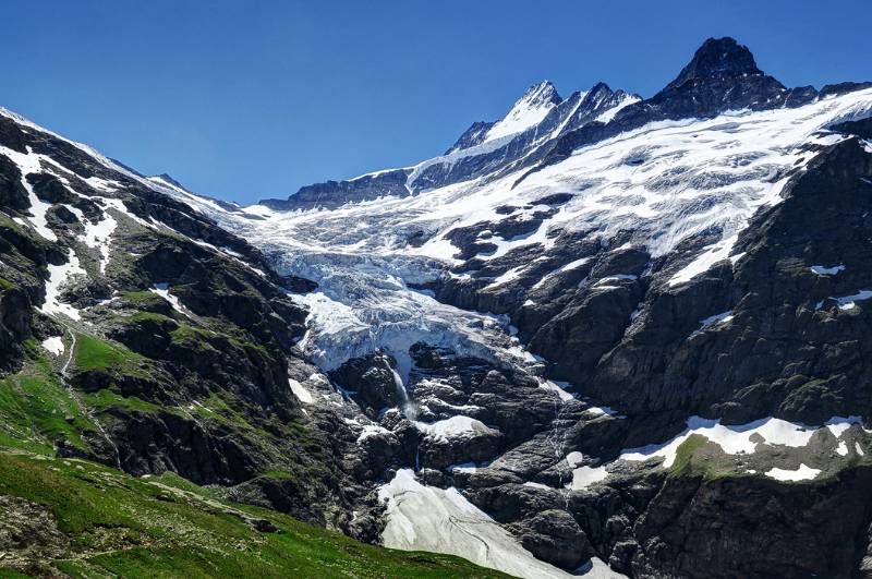 Oberer Grindelwaldgletscher und Schreckhörne