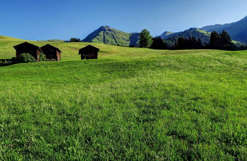 Kurz nach dem Start in Calfreisen der Gipfel von Montalin ist