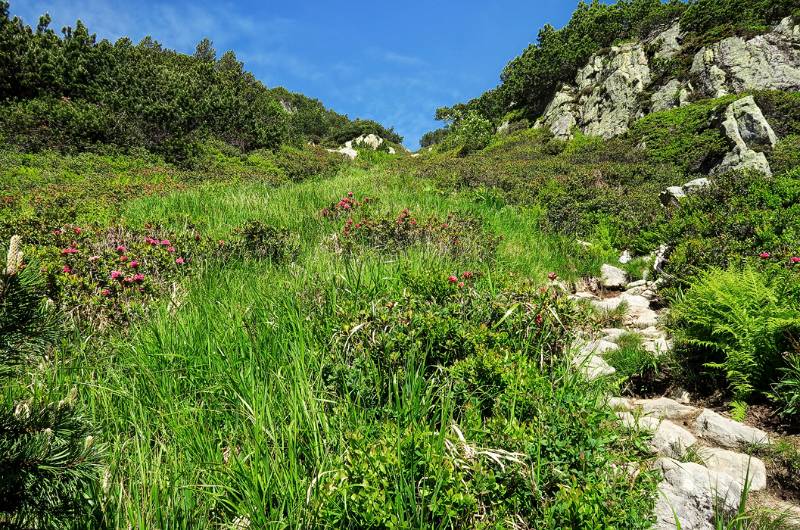 Schöner Wanderweg zum Sunnig Grat