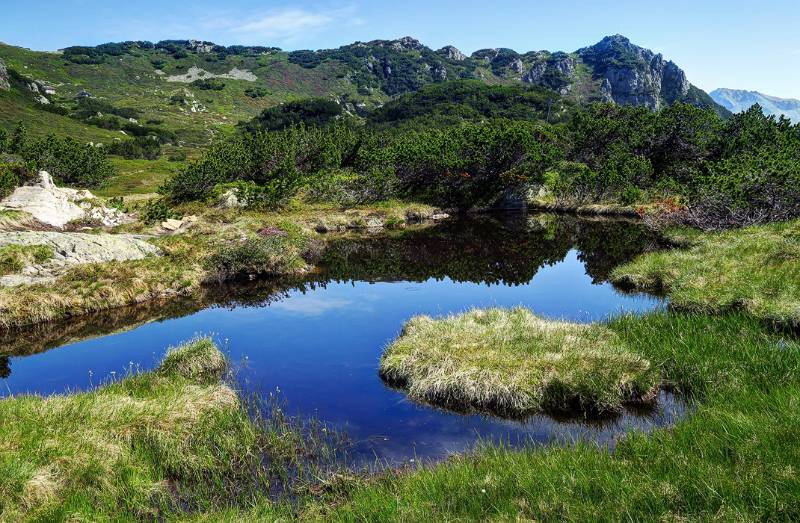 Feuchtes Gebiet in der Umgebung von Sunniggrathütte