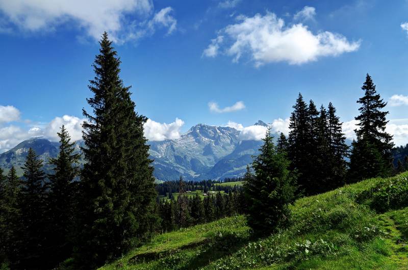 Blick auf die andere Seite des Tals Richtung Säntis und Altmann