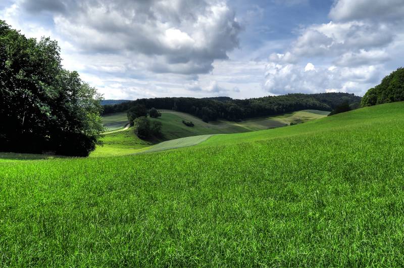 Durch die grüne Wiesen und Wälder