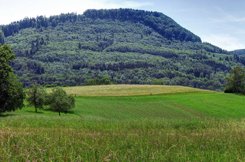 Blick zurück zum Zeiher Homberg