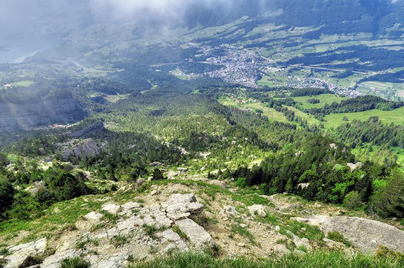 Blick über Aufstiegsgelände Richtung Goldau