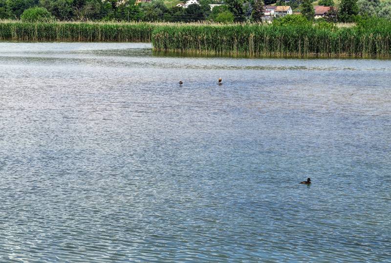 Von Aussichtsturm hat man schönen Überblick über dem See