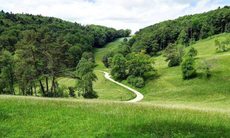 Die grüne Landschaft entlang des Wanderwegs