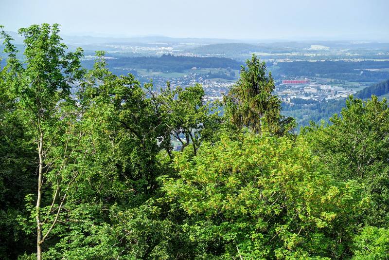 Aussicht von Burgruine Alt Wartburg