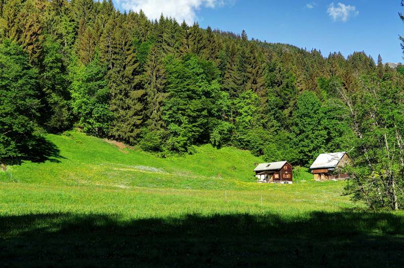 Das Haus steht gemütlich in der Waldlichstung