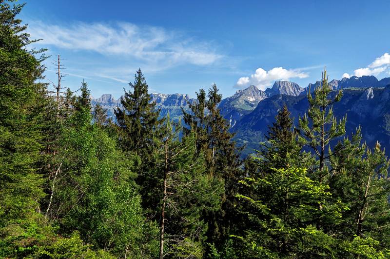 Blick Richtung Churfirsten