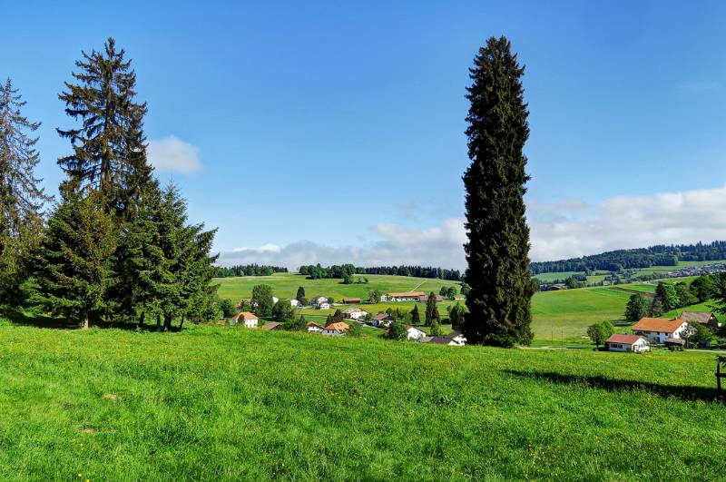 Jura Landschaft