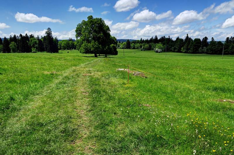 Weiden-Landschaft auf fast 900m Plateau nicht weit von Saignelégier