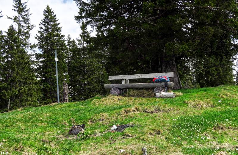 Auf dem Höhsäss, dem höchsten Punkt von Furnerberg