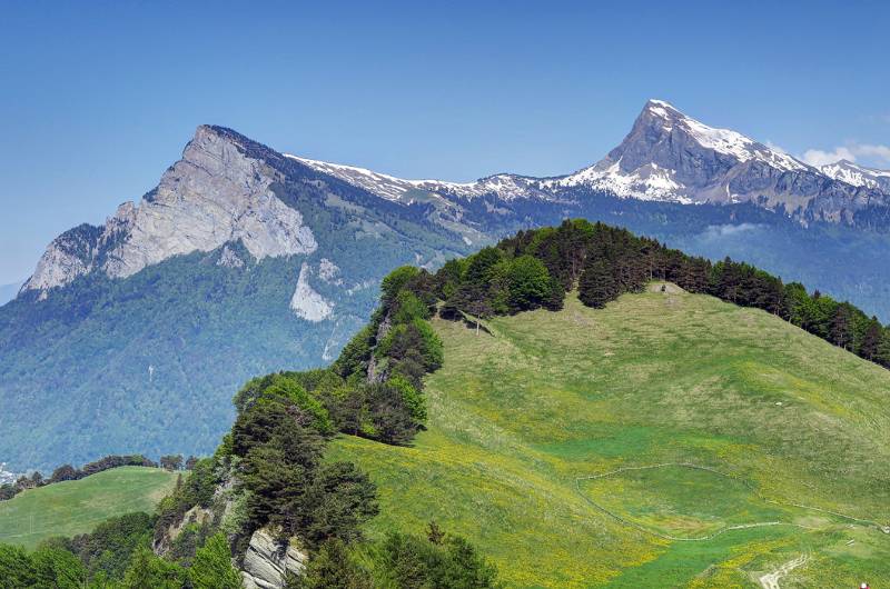 Vorne der bewaldete Hügel ist Guschaspitz. Im Hintergrund - Gonzen und