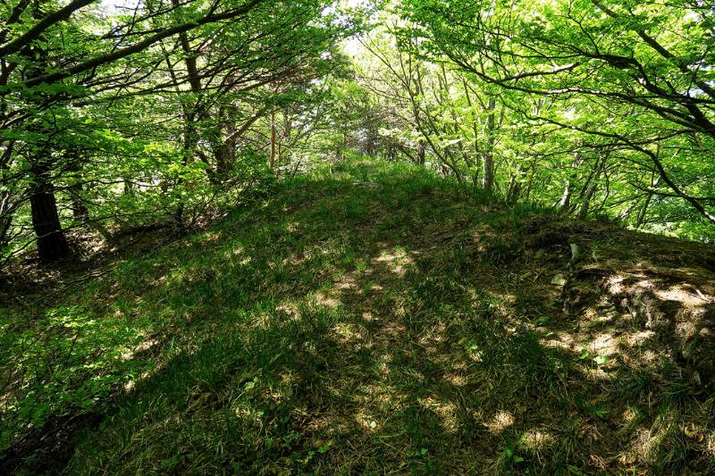 Keine Aussichten auf dem Guschaspitz, entsprechend auch Wanderweg kaum begangen