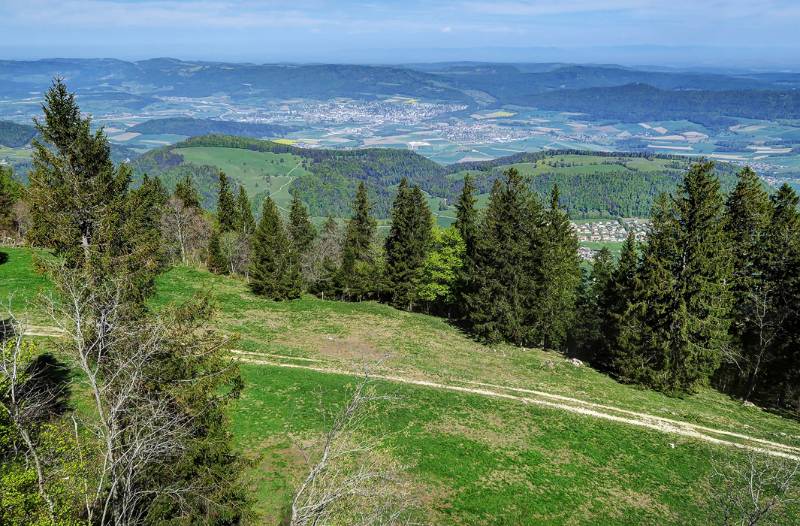 Blick von Aussichtsturm nach Norden Richtung Jura