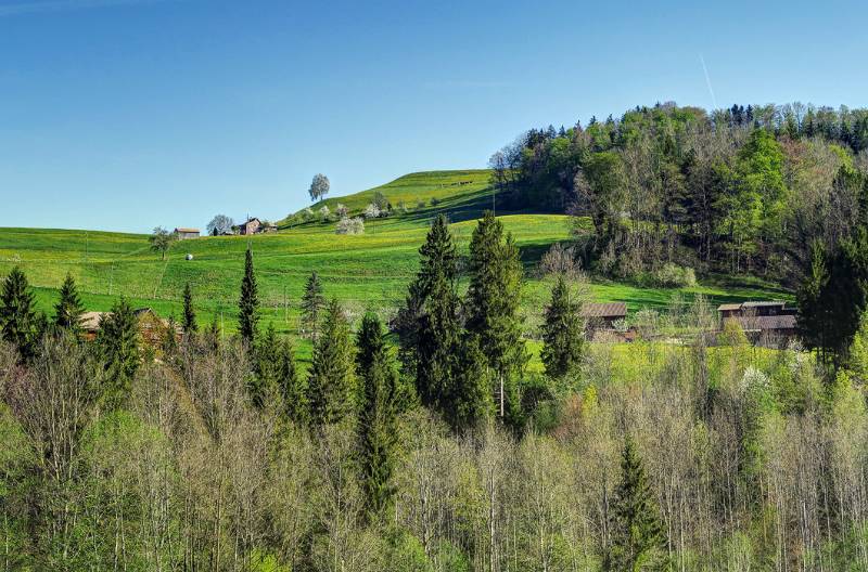 180422-Wanderung-Chruez-Toggenburg_0122_3_4