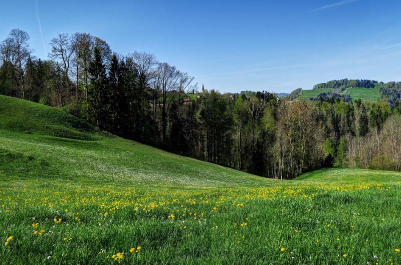 180422-Wanderung-Chruez-Toggenburg_0128_29_30