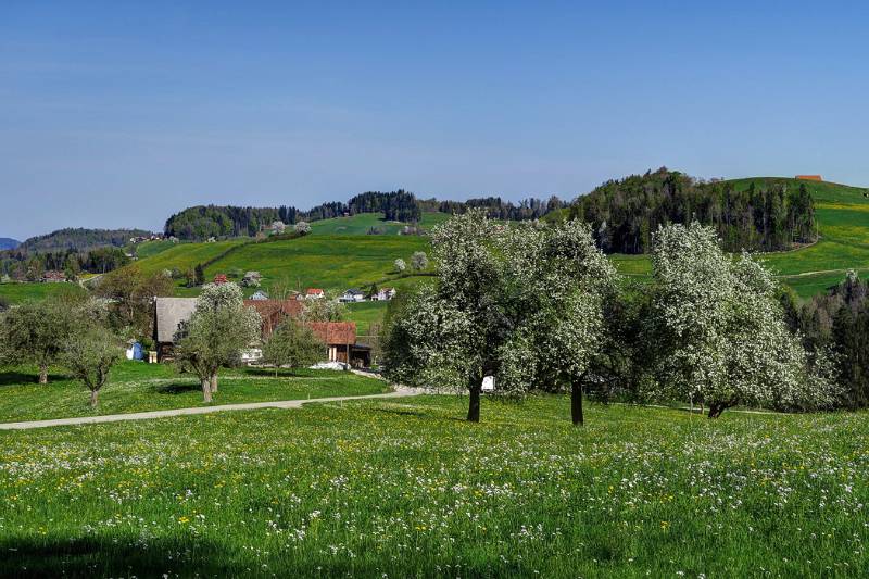 180422-Wanderung-Chruez-Toggenburg_0134_5_6