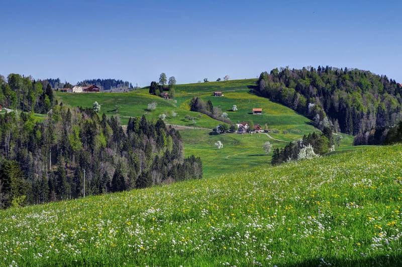 180422-Wanderung-Chruez-Toggenburg_0137_8_9