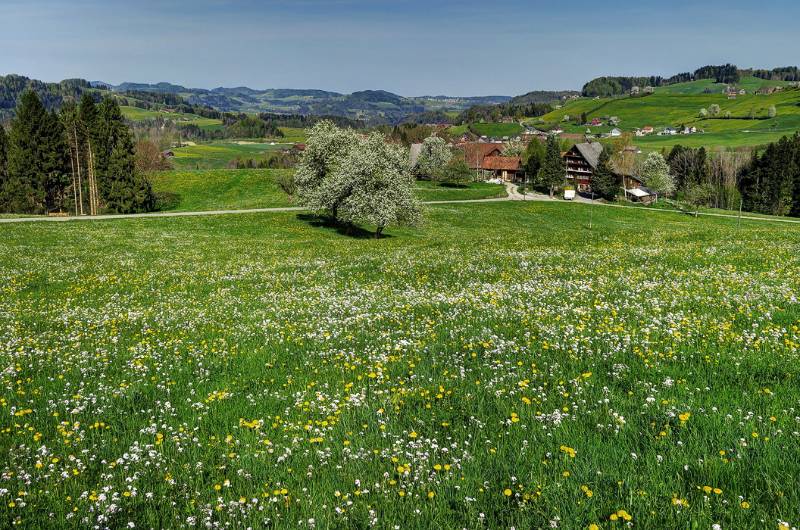 Image Wanderung zum Chruez in Toggenburg