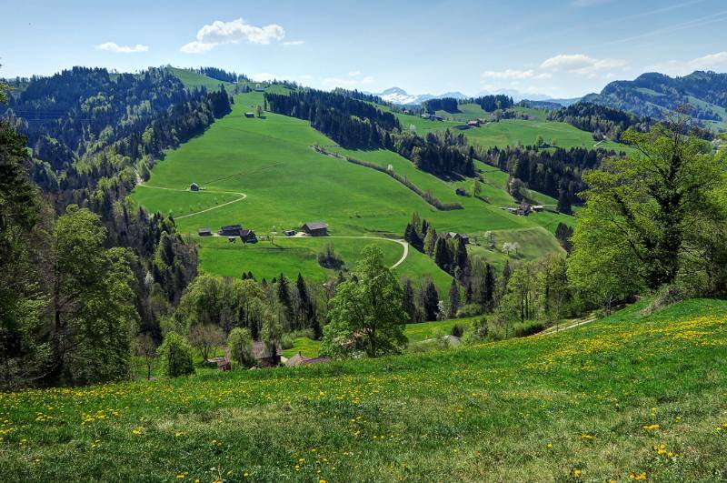 180422-Wanderung-Chruez-Toggenburg_0170_1_2