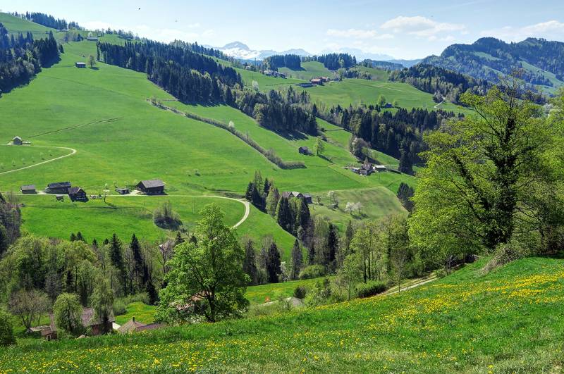 180422-Wanderung-Chruez-Toggenburg_0173_4_5