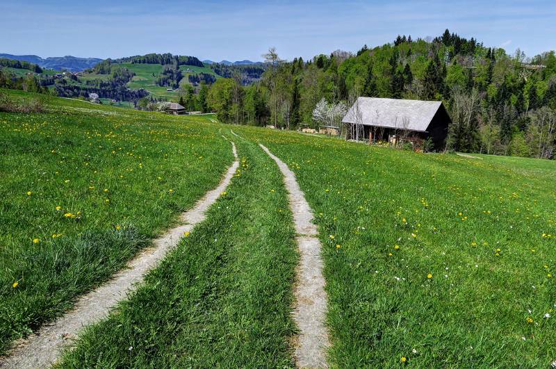 180422-Wanderung-Chruez-Toggenburg_0179_80_81