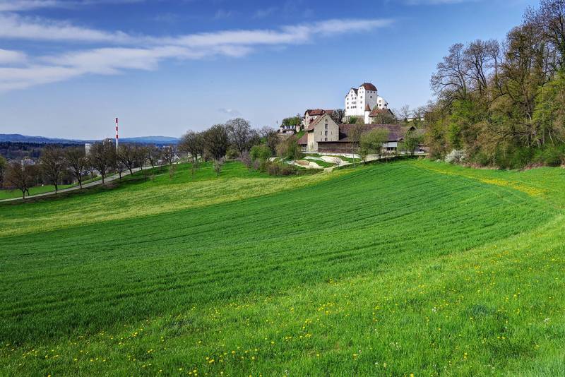 Schloss Wildegg